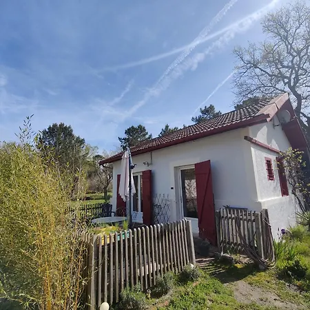 D&D, La Maison Des Ecureuils Lesperon  Esterno foto