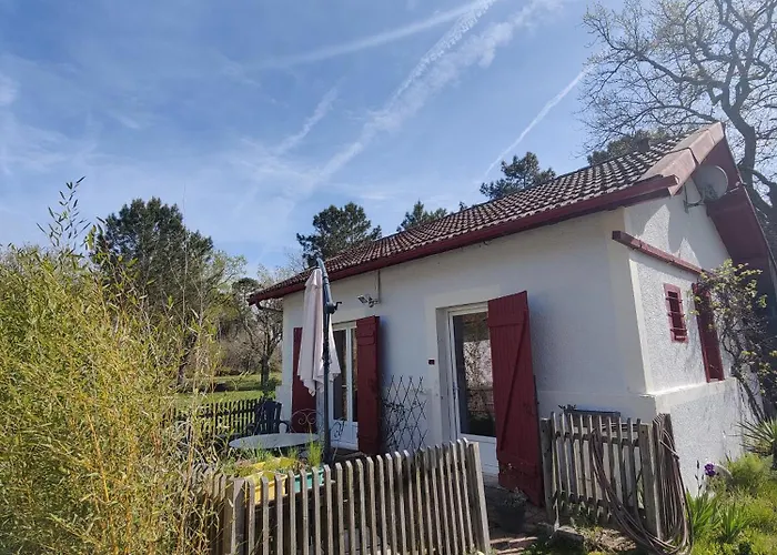 D&D, La Maison Des Ecureuils