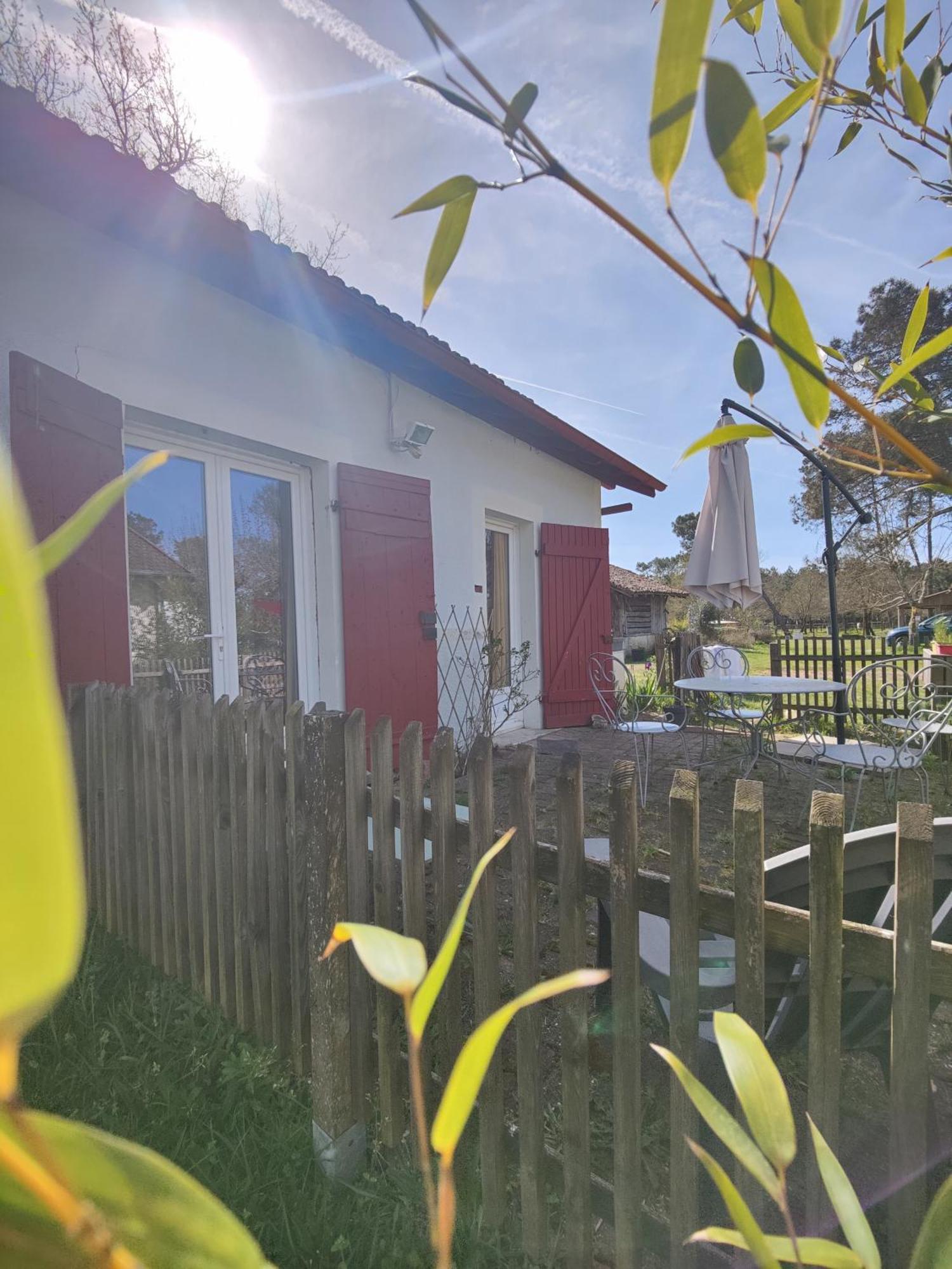 D&d, La Maison Des Ecureuils Hébergement de vacances Lesperon (Landes)